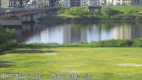 arani2026051307_image
