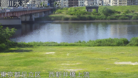 arani2026051308_image