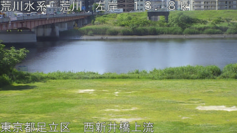 arani2026051309_image