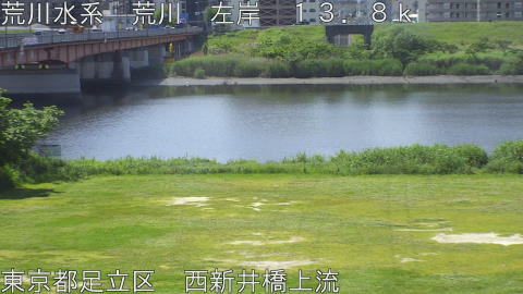 arani2026051310_image