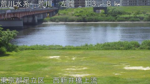 arani2026051311_image