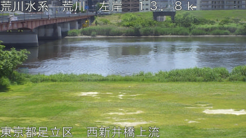 arani2026051312_image