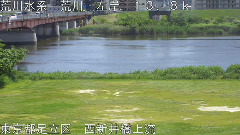 arani2026051313_image
