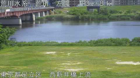 arani2026051314_image