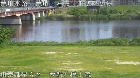 arani2026051315_image