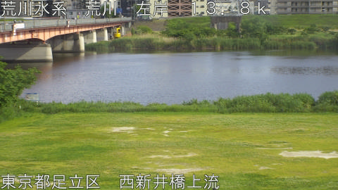 arani2026051316_image
