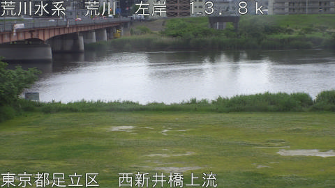 arani2026051317_image