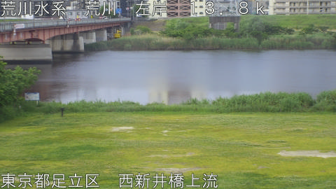 arani2026051406_image