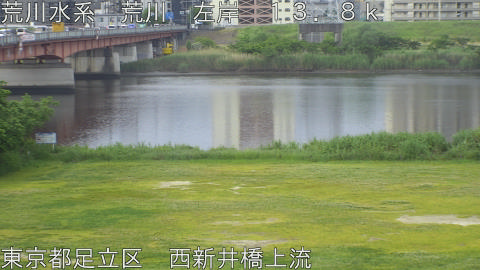 arani2026051407_image