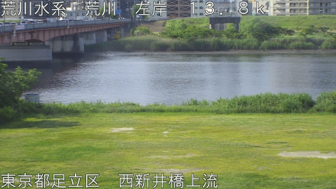 arani2026051408_image