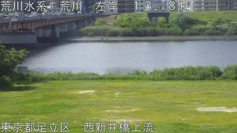 arani2026051409_image