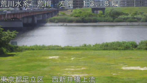 arani2026051410_image