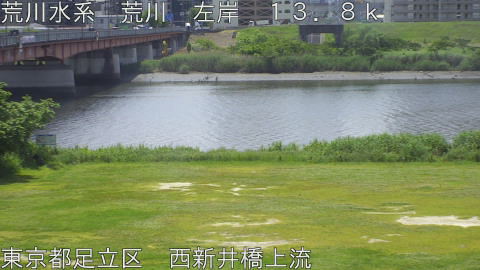 arani2026051411_image