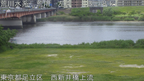 arani2026051412_image