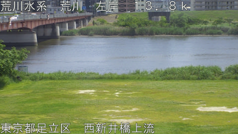 arani2026051413_image