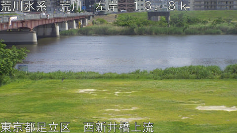 arani2026051414_image