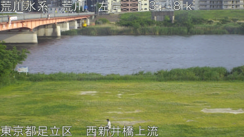 arani2026051417_image
