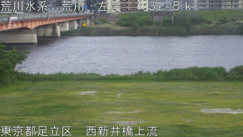 arani2026051418_image