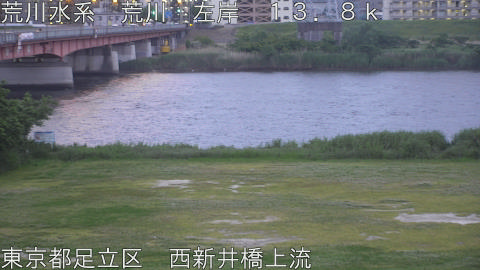 arani2026051419_image
