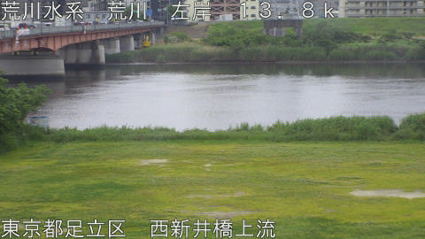 arani2026051507_image