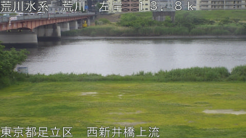 arani2026051508_image