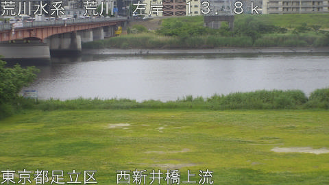 arani2026051509_image