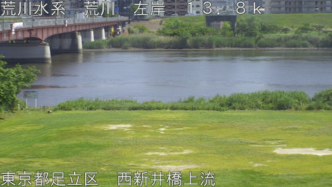 arani2026051514_image