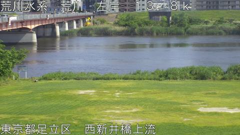 arani2026051515_image