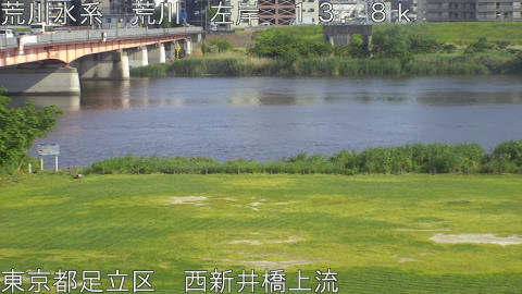 arani2026051516_image