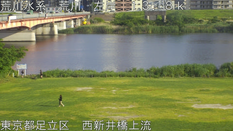 arani2026051517_image