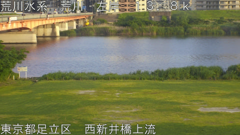 arani2026051518_image