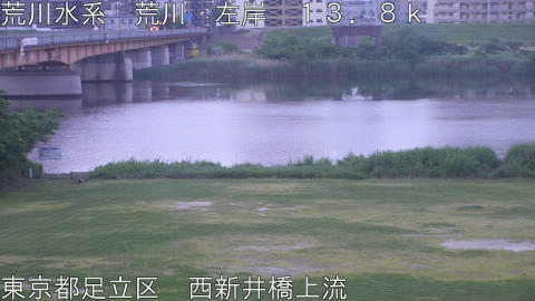 arani2026051605_image
