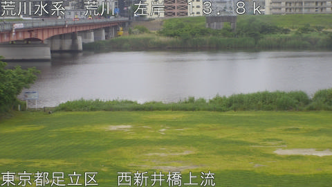 arani2026051606_image