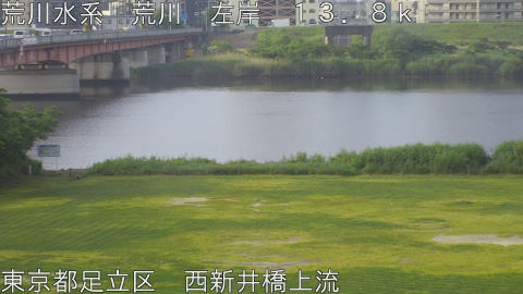arani2026051607_image