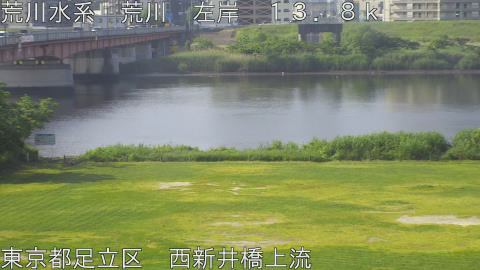 arani2026051608_image
