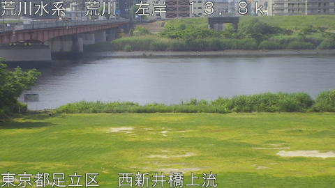 arani2026051609_image