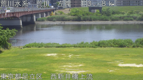 arani2026051613_image
