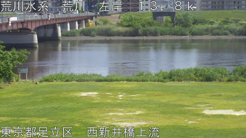 arani2026051614_image