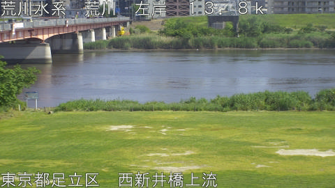 arani2026051615_image