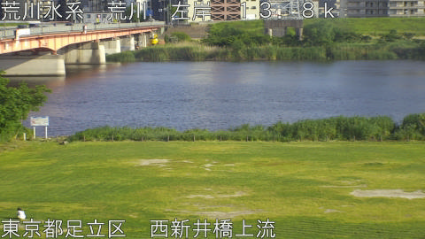 arani2026051617_image