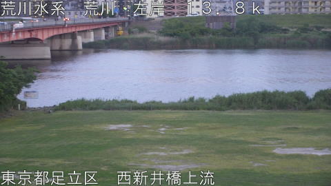 arani2026051619_image
