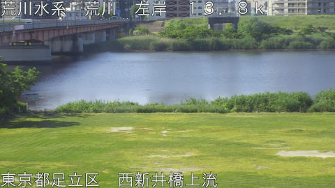arani2026051708_image