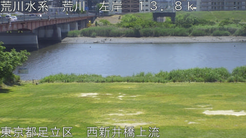 arani2026051712_image