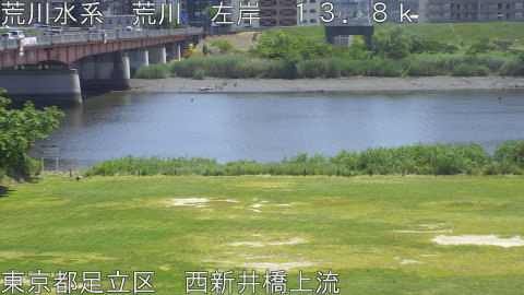 arani2026051713_image