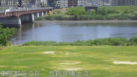 arani2026051714_image
