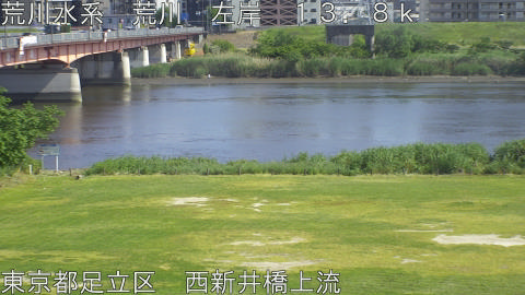 arani2026051715_image