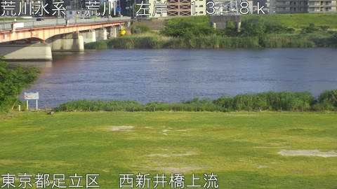 arani2026051717_image