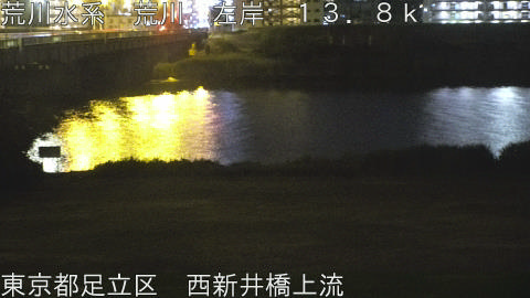 arani2026051723_image