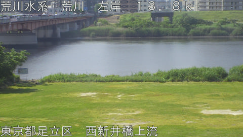 arani2026051809_image