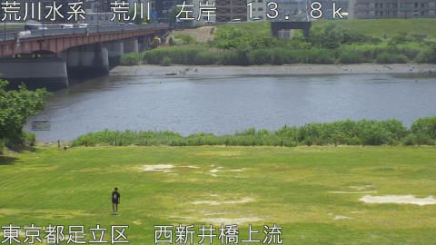 arani2026051812_image